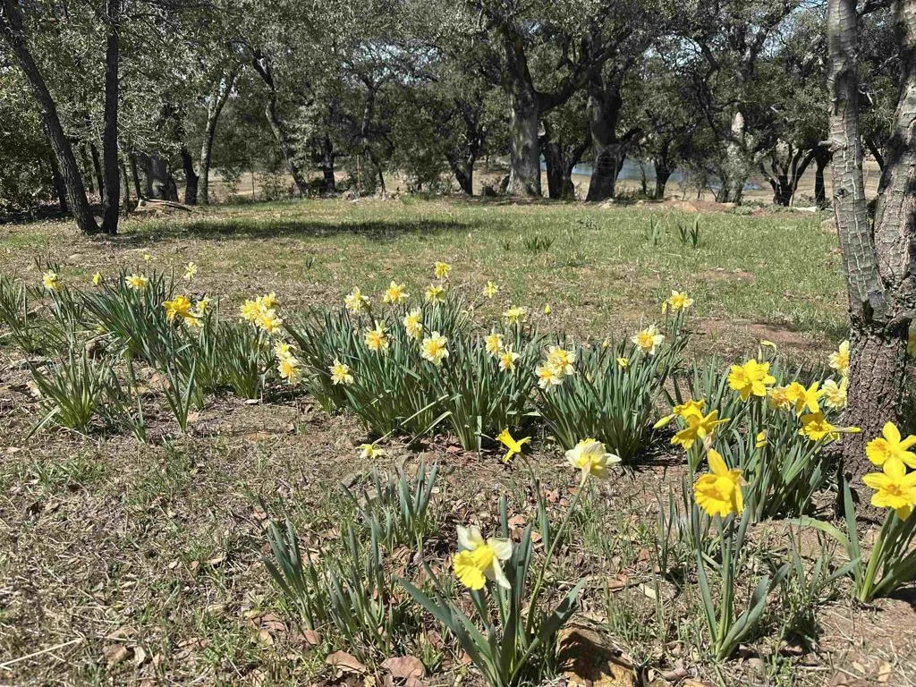 25258 Black Canyon Road, Santa Ysabel, California 92070 home-pic-43